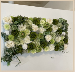 ウォールフラワーの写真