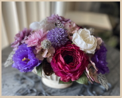 �������A�����W�̎ʐ^