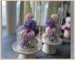 �I�����W�̂����A�����W�̎ʐ^