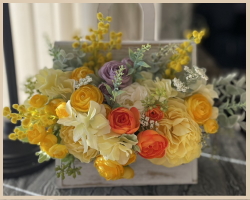 �t�̃A�����W�̎ʐ^