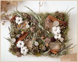 t[bX؂̔؂̎gplAWʐ^